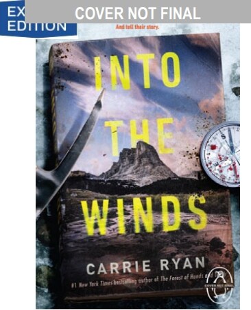 Into the Winds (Paperback)