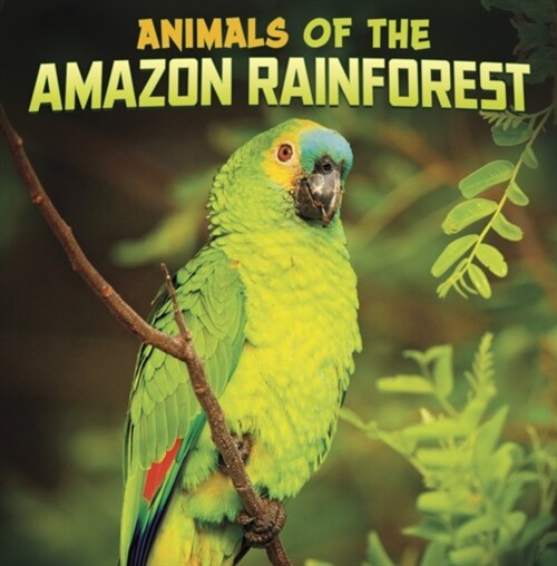 ANIMALS OF THE AMAZON RAINFOREST (Paperback)