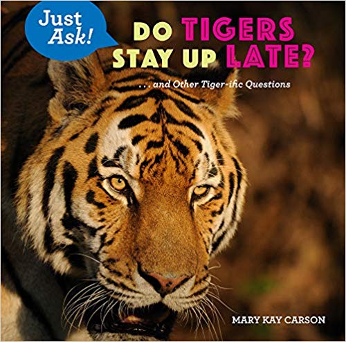 Do Tigers Stay Up Late?: . . . and Other Tiger-Ific Questions