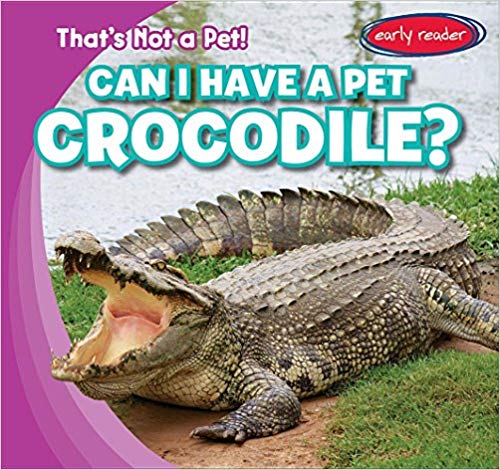 Can I Have a Pet Crocodile?