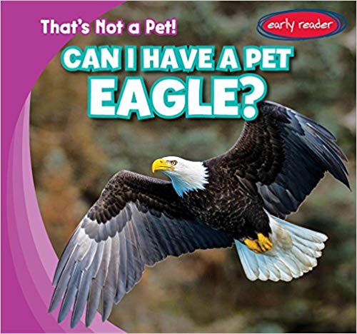 Can I Have a Pet Eagle?