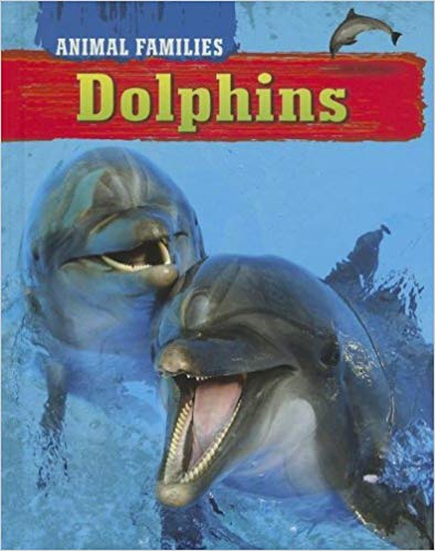 Dolphins