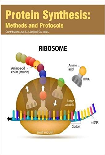 Protein Synthesis: Methods and Protocols