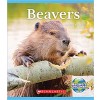 Beavers