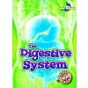 The Digestive System